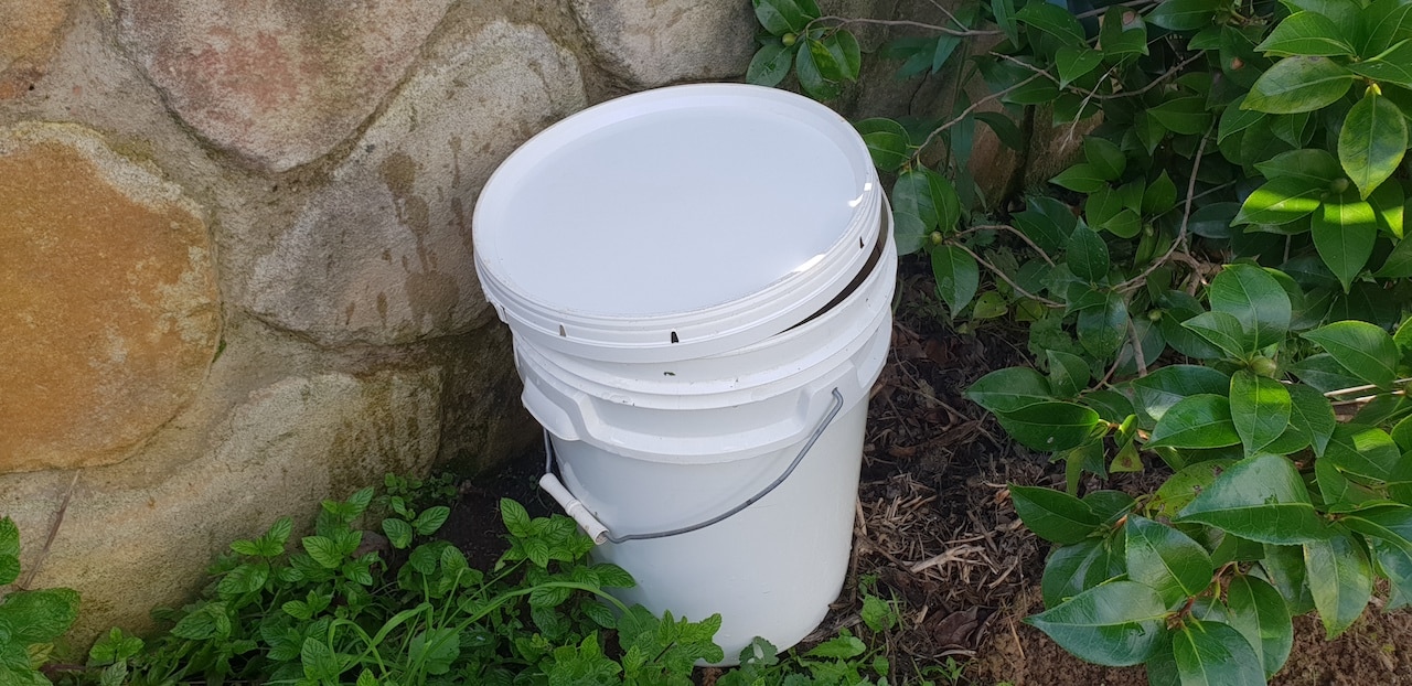 A lid, slightly opened, has been placed on the bucked of weeds to help keep rodents out but allow oxygen in