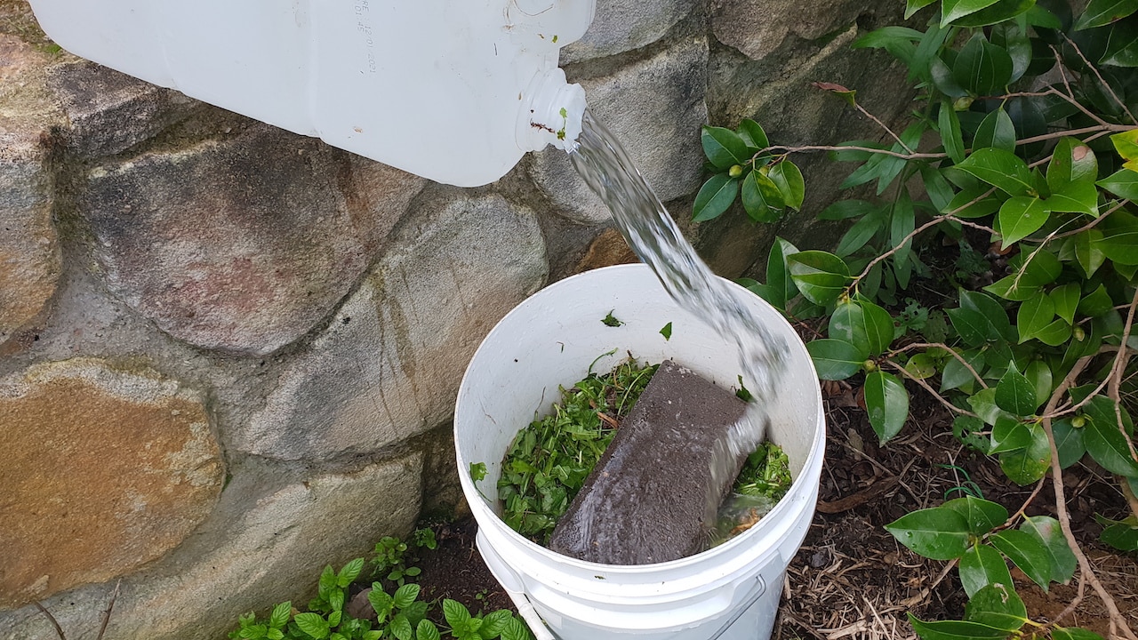 Water being poured into bucket of weeds, which now has a brick in it